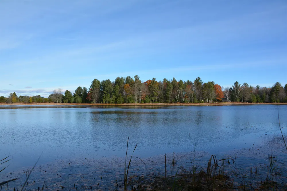 864 SE Blue Heron Drive Orange Township, MI 49646