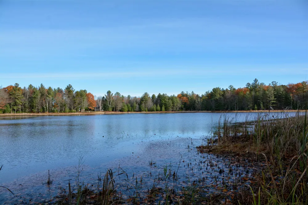 864 SE Blue Heron Drive Orange Township, MI 49646