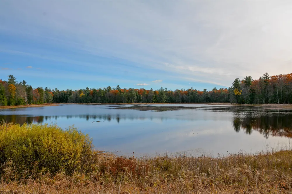 864 SE Blue Heron Drive Orange Township, MI 49646