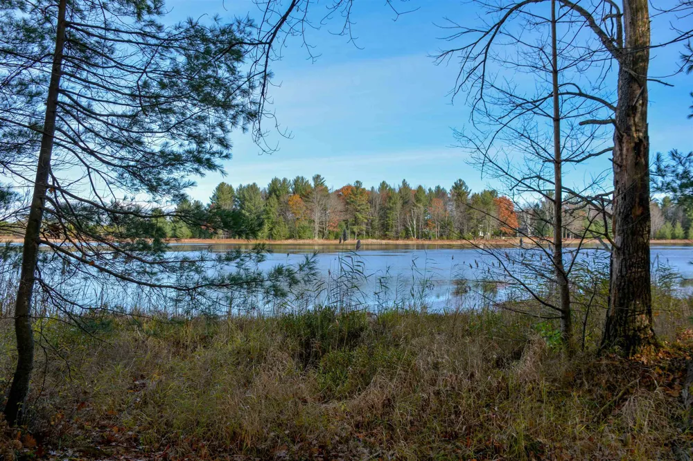 864 SE Blue Heron Drive Orange Township, MI 49646