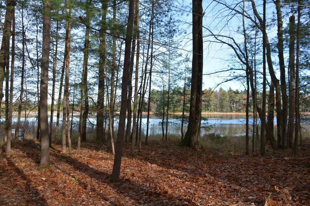 864 SE Blue Heron Drive Orange Township, MI 49646