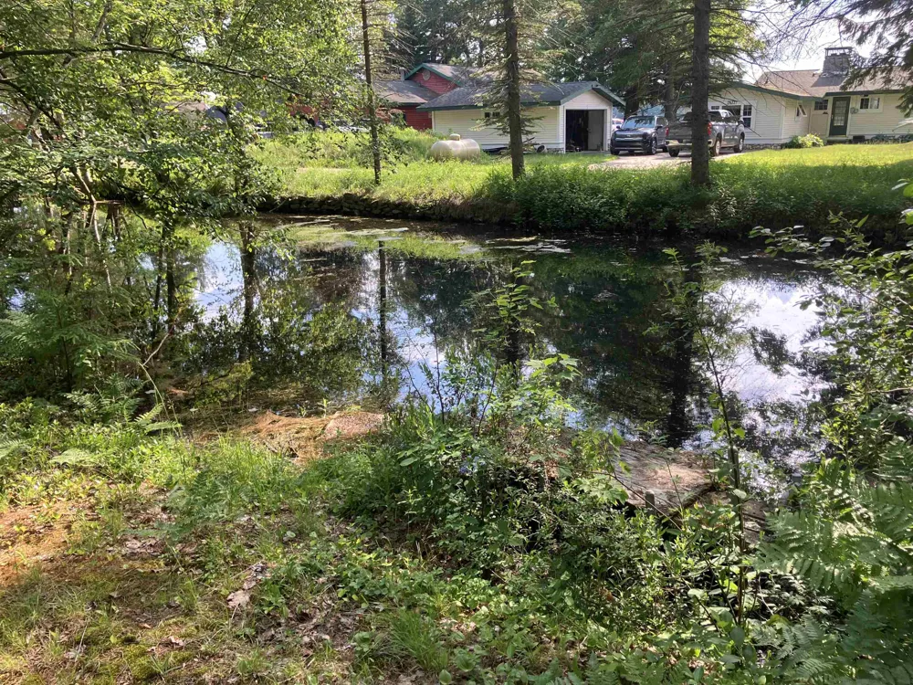 5611 NE East Shore Drive Coldsprings Township, MI 49646