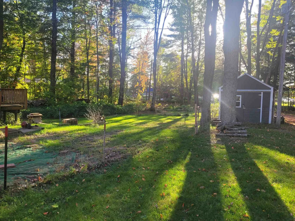 5611 NE East Shore Drive Coldsprings Township, MI 49646
