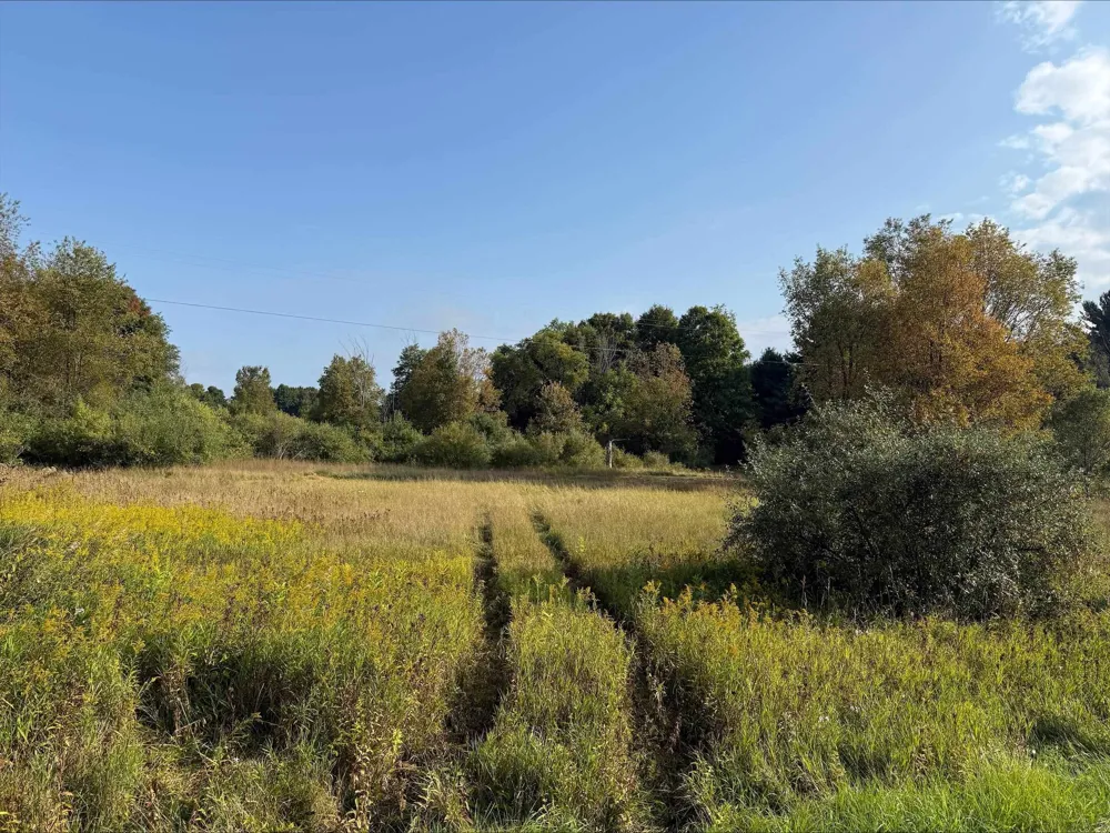 S Maple City Road Kasson Township, MI 49664