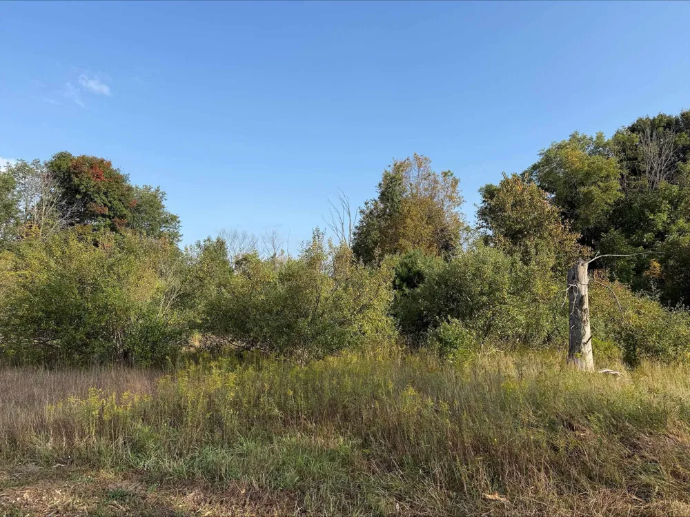 S Maple City Road Kasson Township, MI 49664