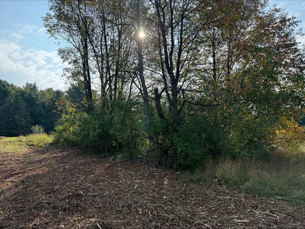 S Maple City Road Kasson Township, MI 49664