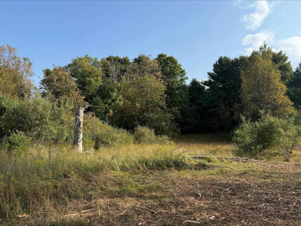 S Maple City Road Kasson Township, MI 49664