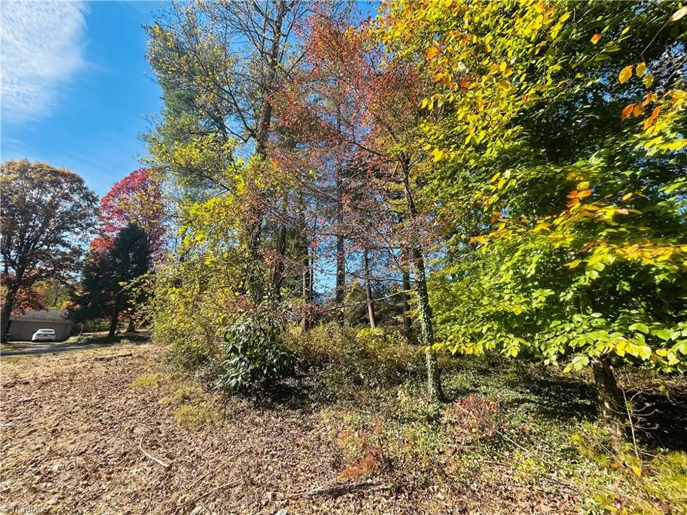 TBD Old Springs Road Mount Airy, NC 27030