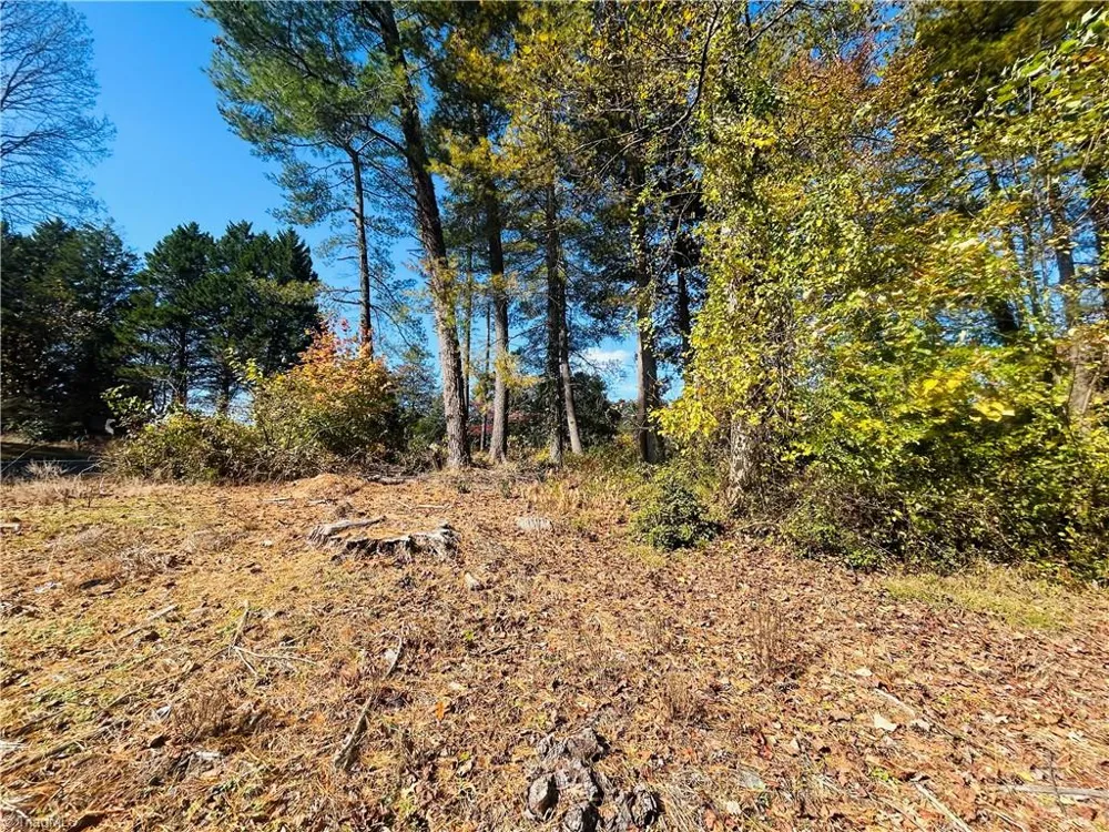 TBD Old Springs Road Mount Airy, NC 27030