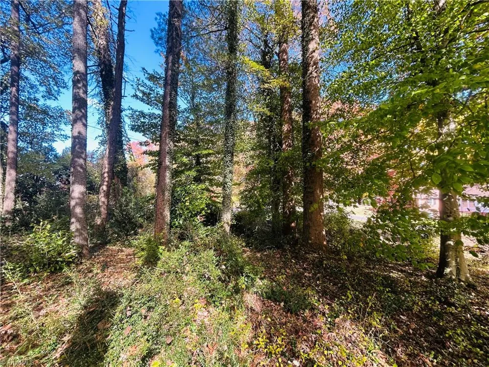 TBD Old Springs Road Mount Airy, NC 27030