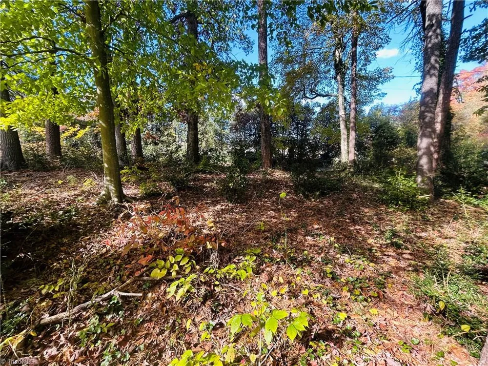 TBD Old Springs Road Mount Airy, NC 27030