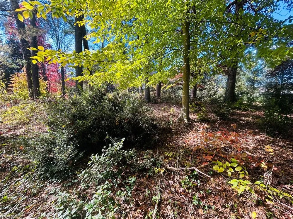 TBD Old Springs Road Mount Airy, NC 27030