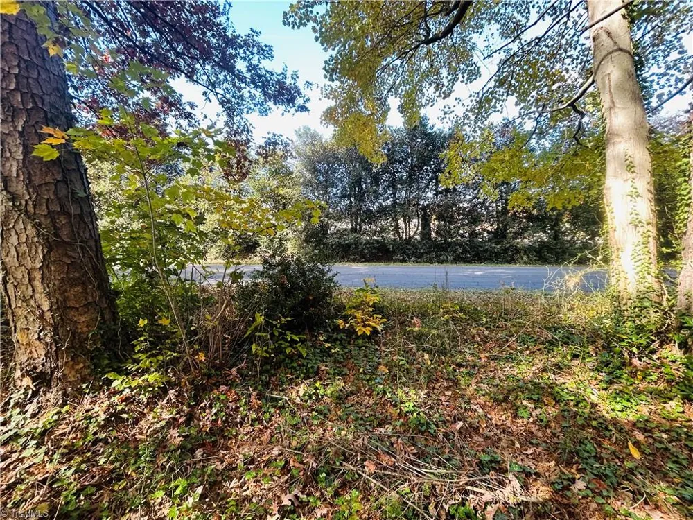 TBD Old Springs Road Mount Airy, NC 27030