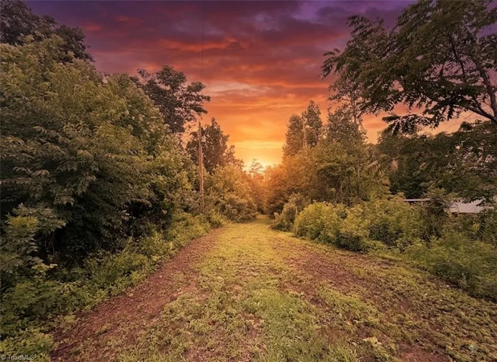 TBD Old Springs Road Mount Airy, NC 27030