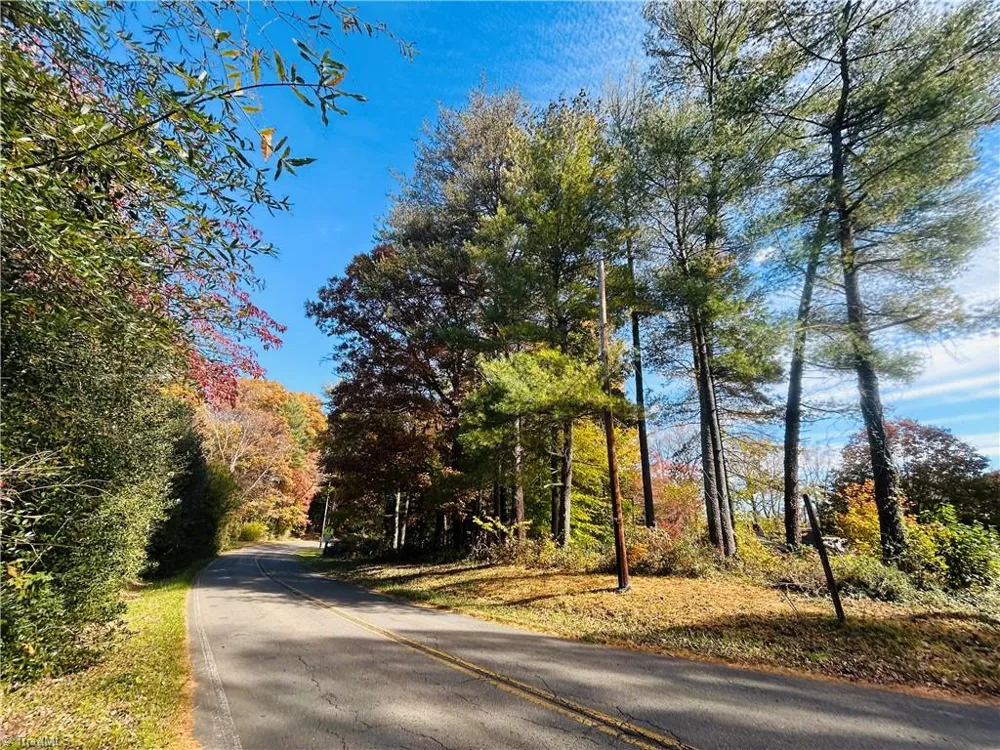 TBD Old Springs Road Mount Airy, NC 27030
