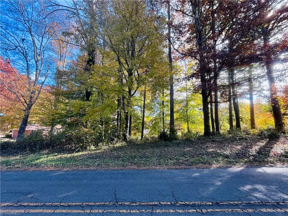 TBD Old Springs Road Mount Airy, NC 27030