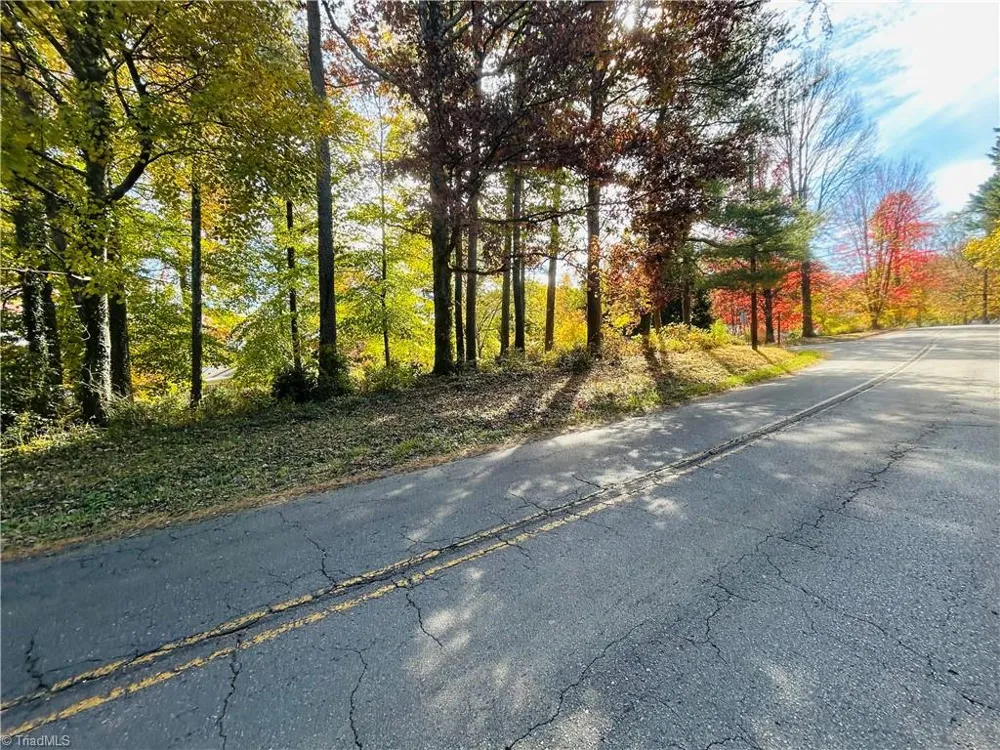 TBD Old Springs Road Mount Airy, NC 27030