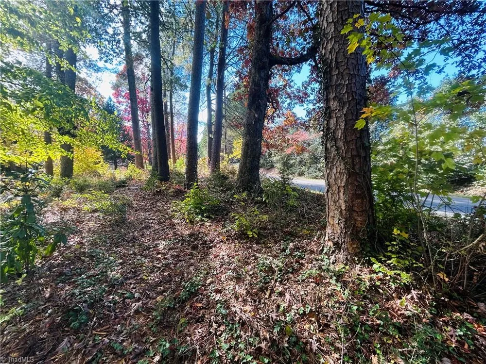 TBD Old Springs Road Mount Airy, NC 27030