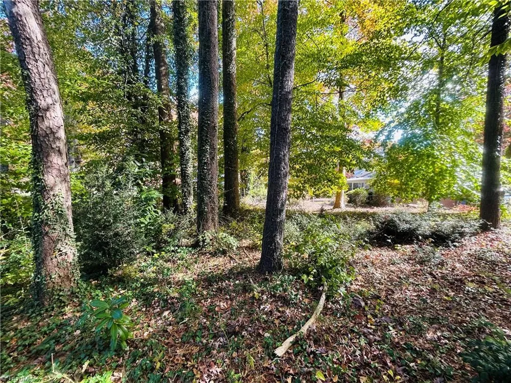 TBD Old Springs Road Mount Airy, NC 27030