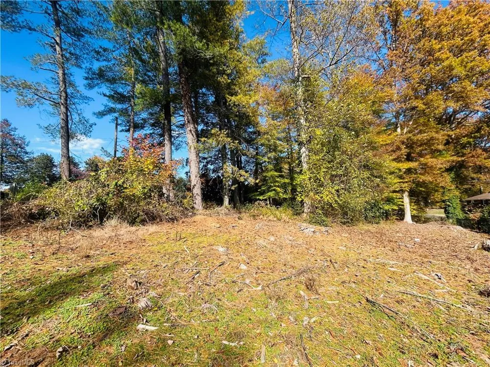 TBD Old Springs Road Mount Airy, NC 27030