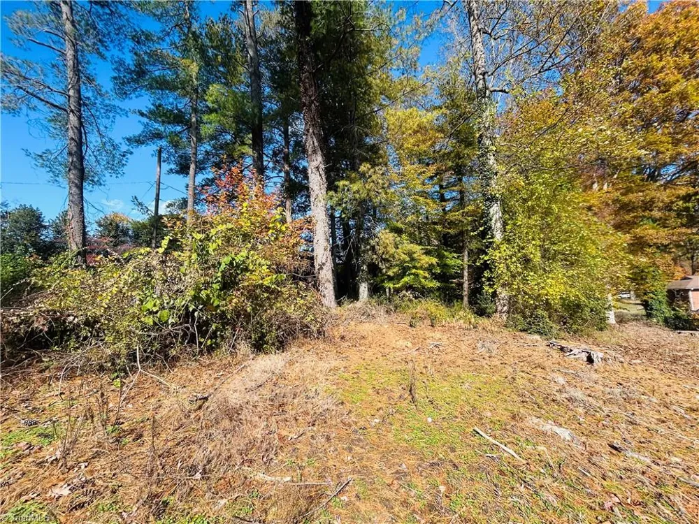 TBD Old Springs Road Mount Airy, NC 27030