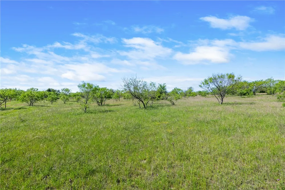 County Road 276 Liberty Hill, TX 78605
