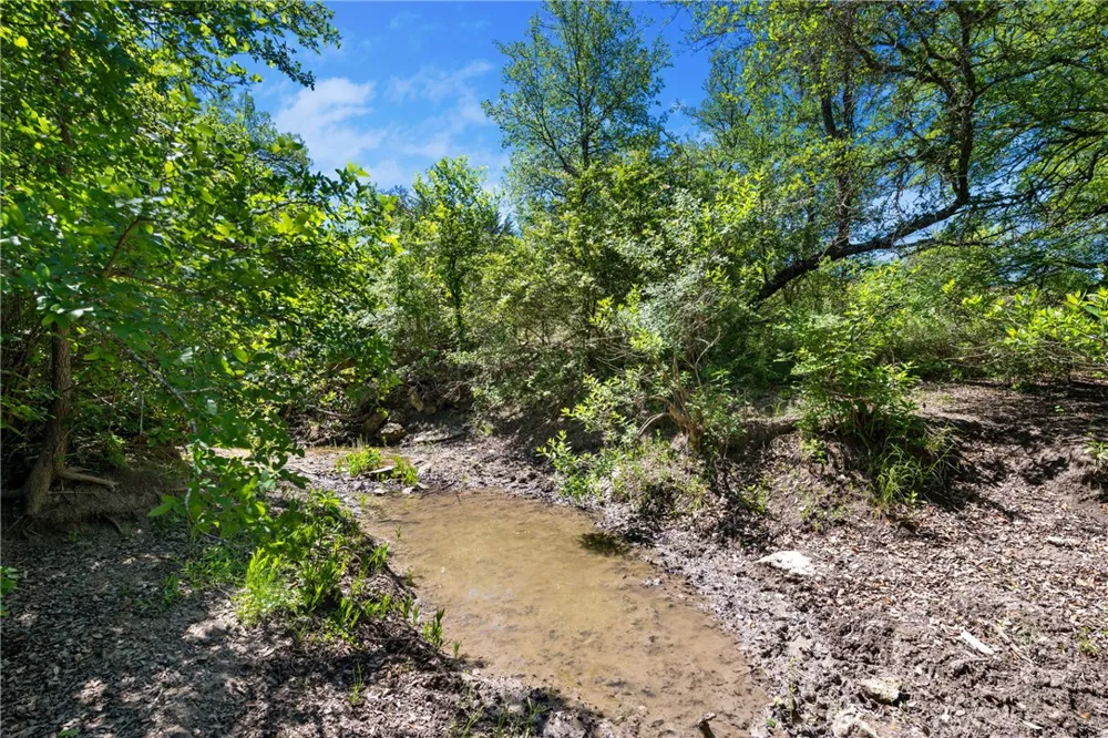 County Road 276 Liberty Hill, TX 78605