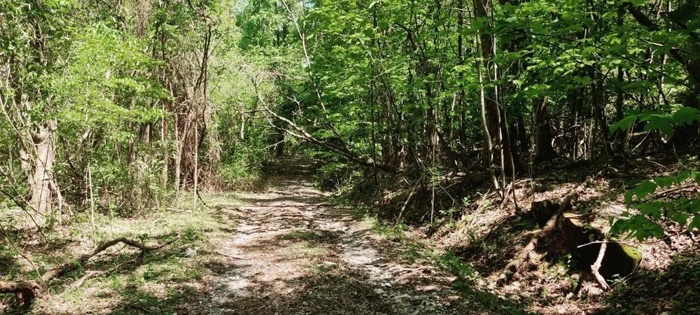 0 Coburntown Road South Pittsburg, TN 37380