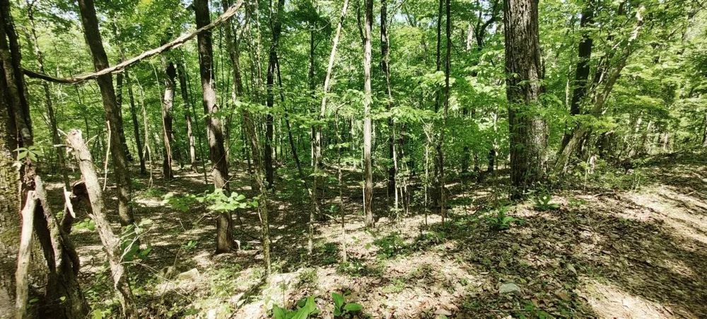 0 Coburntown Road South Pittsburg, TN 37380