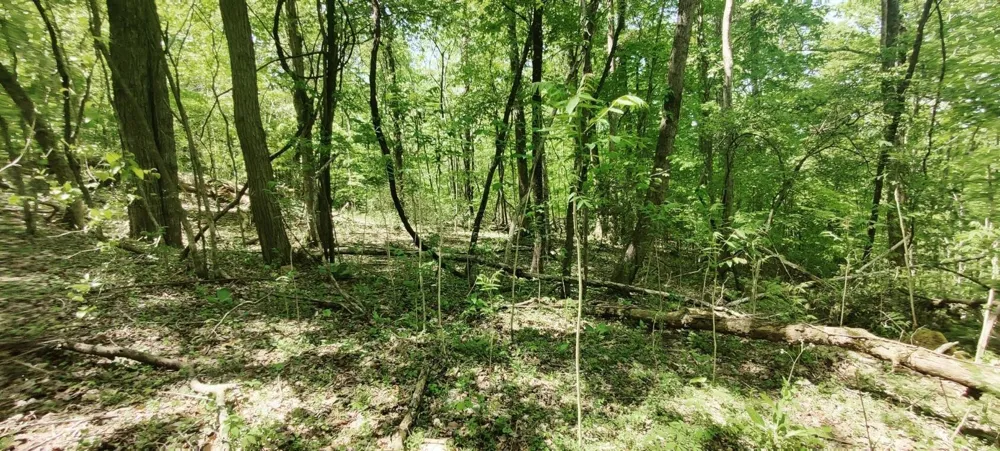 0 Coburntown Road South Pittsburg, TN 37380
