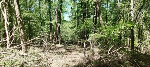 0 Coburntown (Lot 13) Road