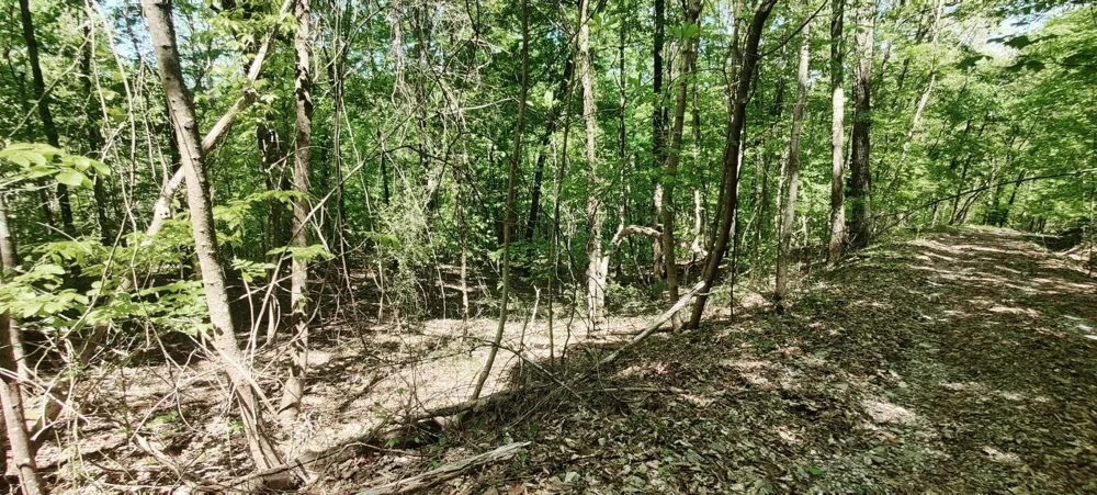 0 Coburntown Road South Pittsburg, TN 37380