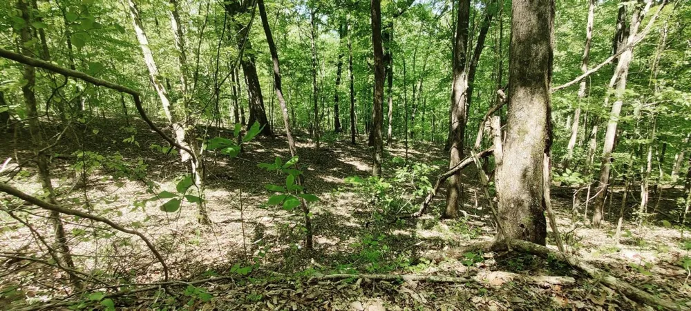 0 Coburntown Road South Pittsburg, TN 37380