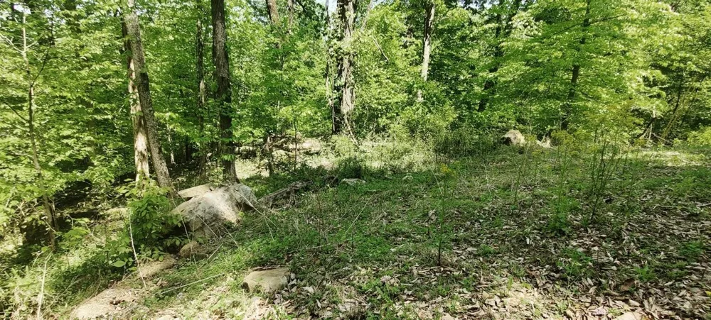0 Coburntown Road South Pittsburg, TN 37380