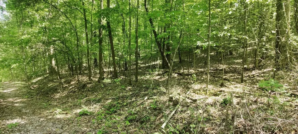 0 Coburntown Road South Pittsburg, TN 37380