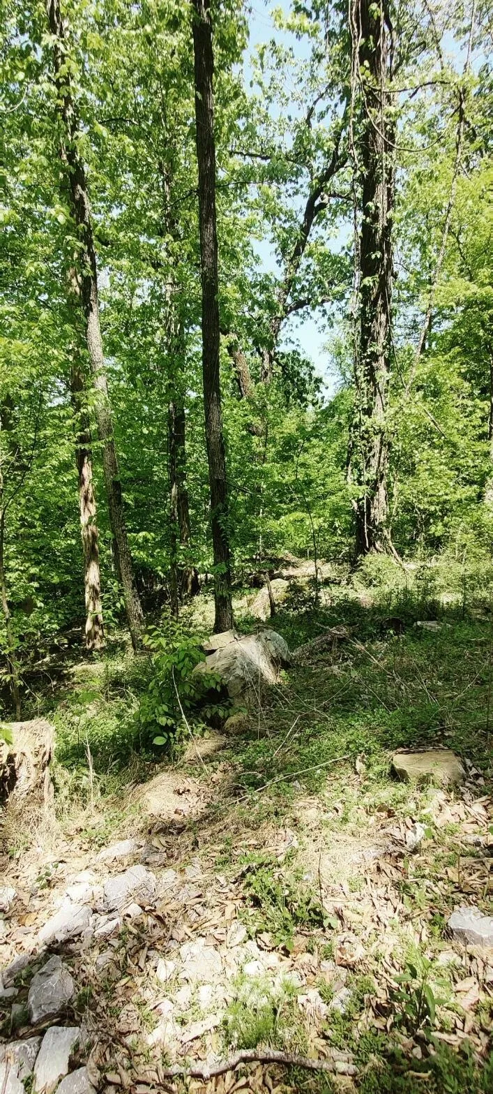 0 Coburntown Road South Pittsburg, TN 37380