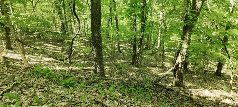 0 Coburntown Road South Pittsburg, TN 37380