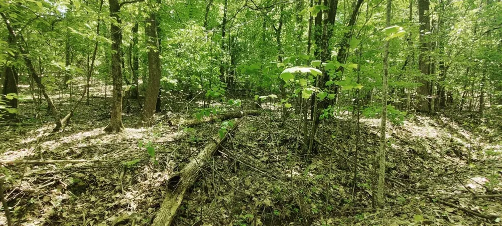 0 Coburntown Road South Pittsburg, TN 37380