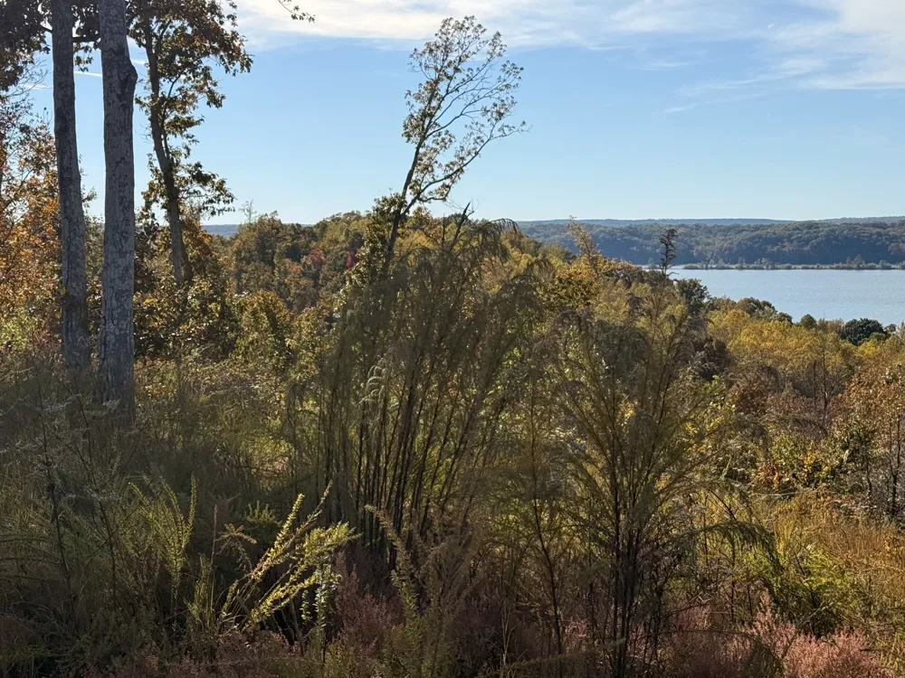 54 Ridge Top Road Stewart, TN 37175