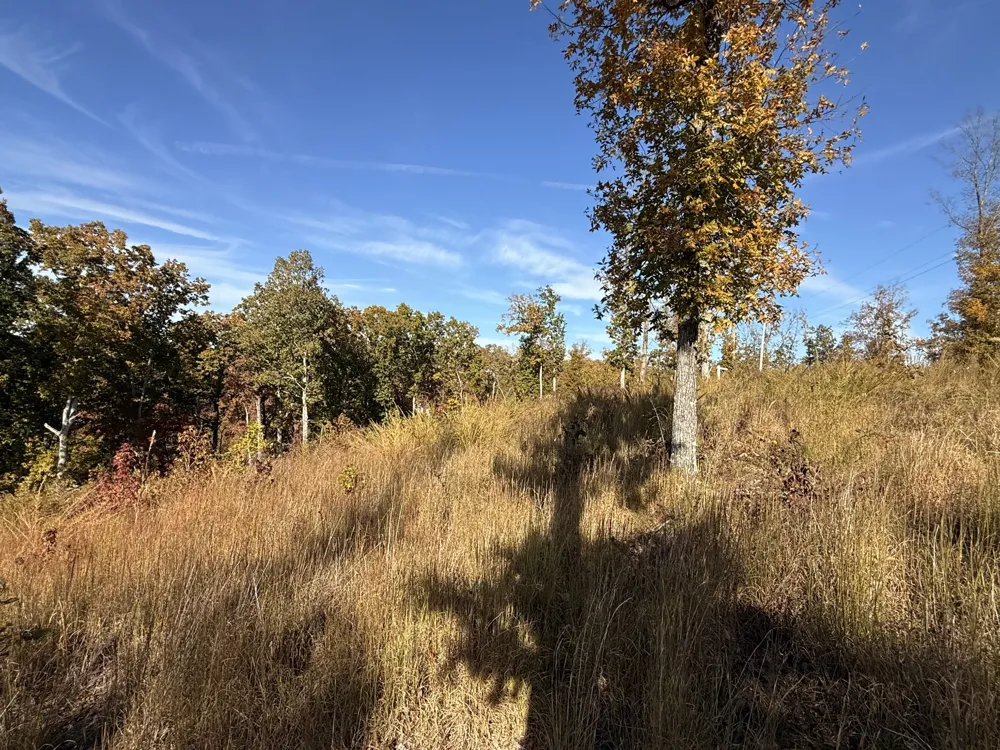 54 Ridge Top Road Stewart, TN 37175