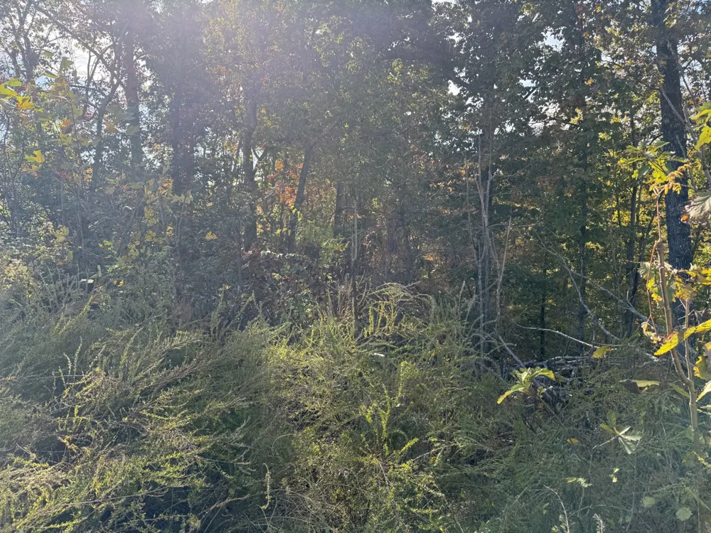 54 Ridge Top Road Stewart, TN 37175