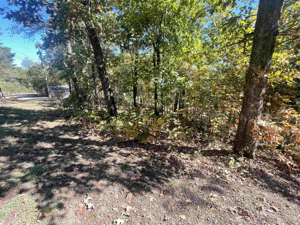 87 CR 262 RD Iuka, MS 38852