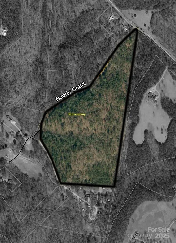 819 Grassy Knob Road Rutherfordton, NC 28139