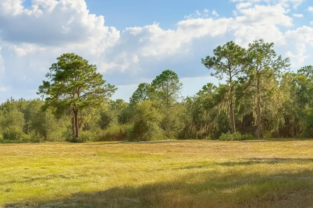 1205-1209 W ALEXANDER STREET Plant City, FL 33563
