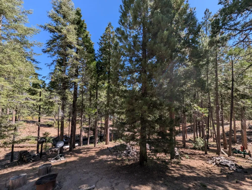 65066 Stellar Jay Lane Unincorporated, CA 93628