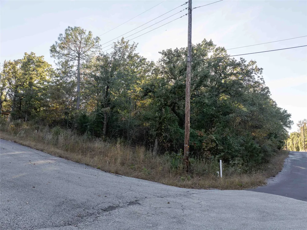 555 Holly Glen Murchison, TX 75778