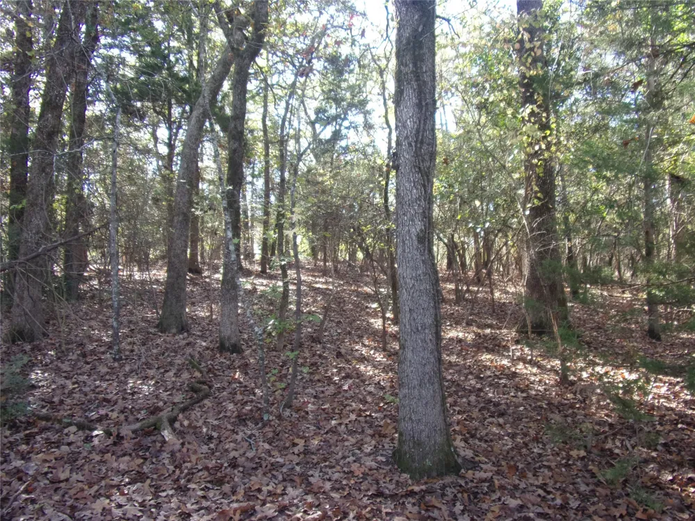 555 Holly Glen Murchison, TX 75778