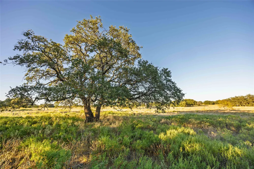 3270 Fm-573 Comanche, TX 76442