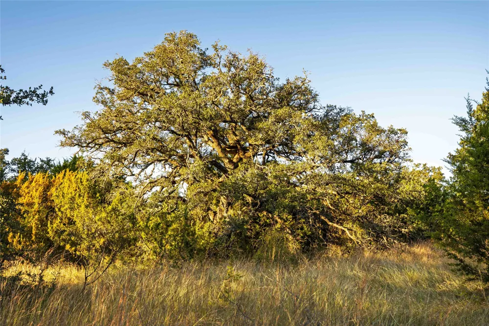 3270 Fm-573 Comanche, TX 76442