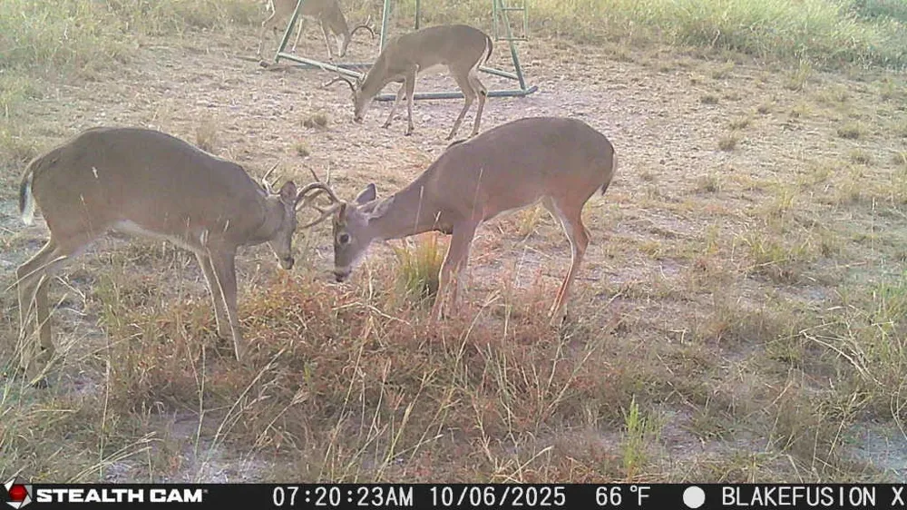 3270 Fm-573 Comanche, TX 76442